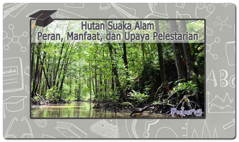 Hutan Suaka Alam: Peran, Manfaat, dan Upaya Pelestarian